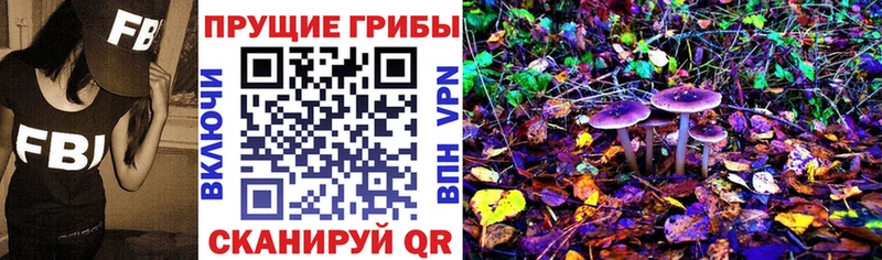 Галлюциногенные грибы ЛСД  hydra как войти  Анадырь 